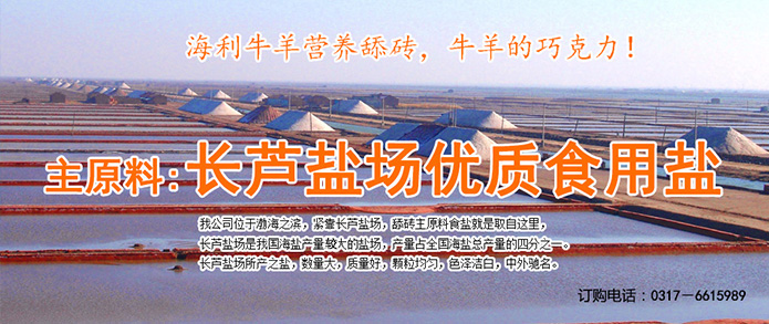 海利舔砖的发展史