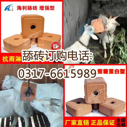 海利舔砖在反刍动物中的正确使用方法