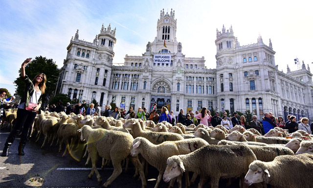 d18524bdefe94cea890e3bed3a5dbb30