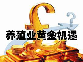 未来几年养殖业会迎来哪些赚钱的黄金机遇？