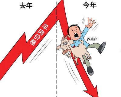 牛肉价格小幅上涨，羊肉价格持续下跌