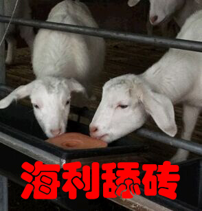 QQ图片20160202093832