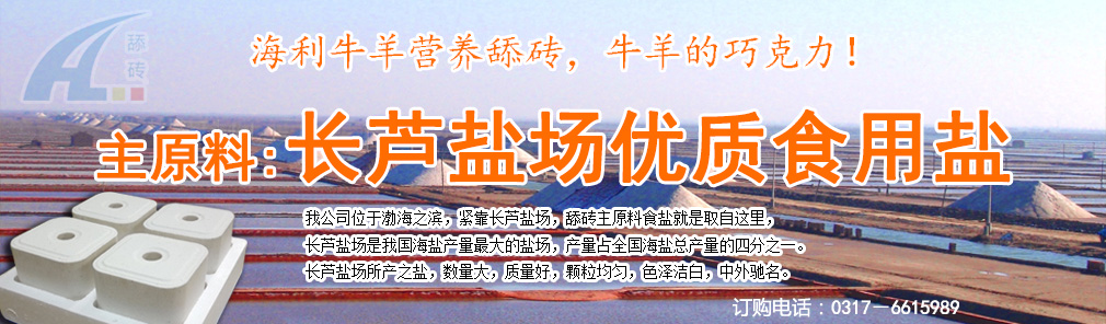 辞旧迎新，加盟海利舔砖好前景，投资创业好商机