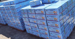 海利舔块再次进入优然牧业旗下牧场