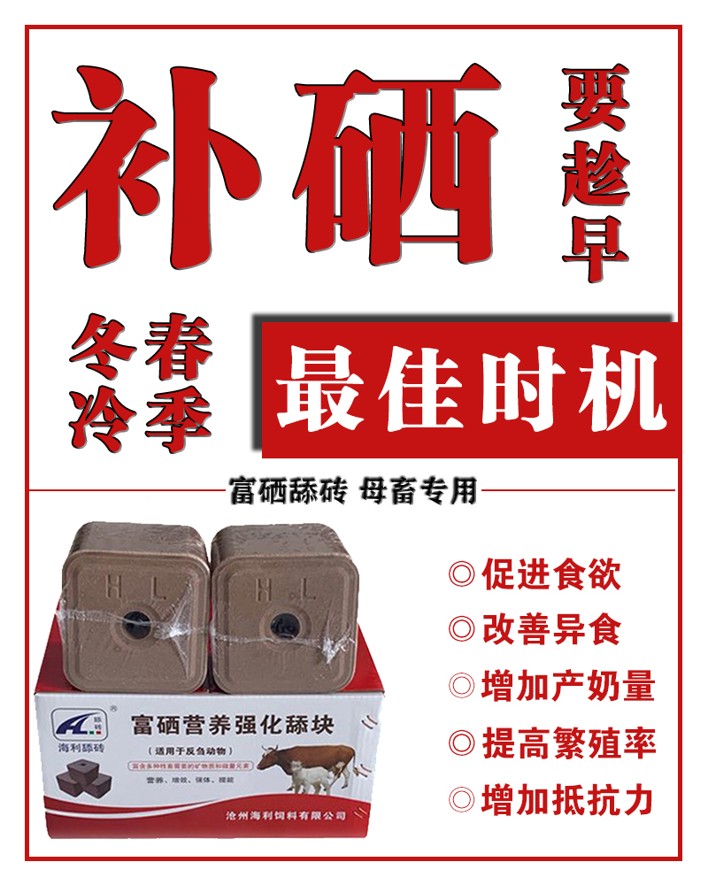 “山羊怕交九，绵羊怕打春”什么意思？