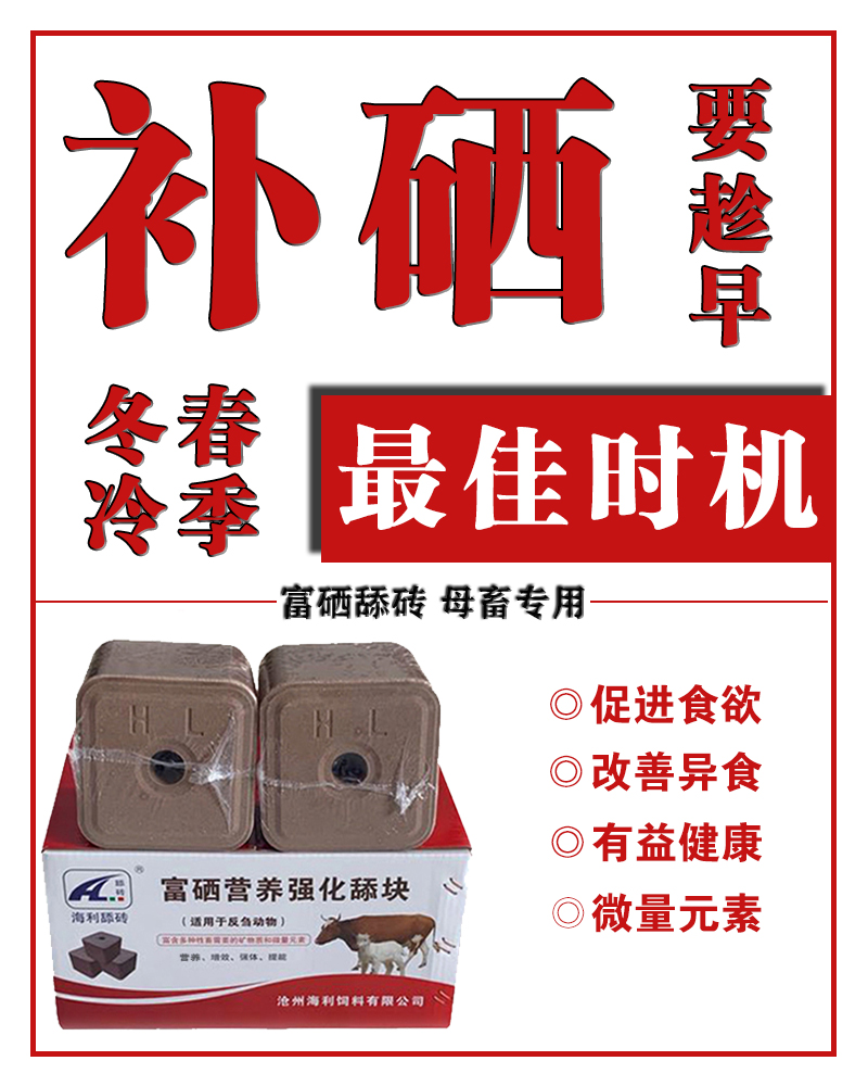 冬春冷季枯草期，牛羊养殖户不要忽略一件事