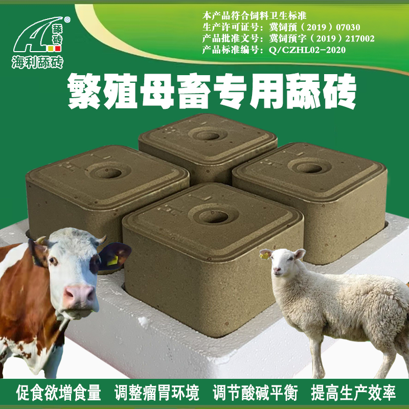 繁殖牛羊的营养需求